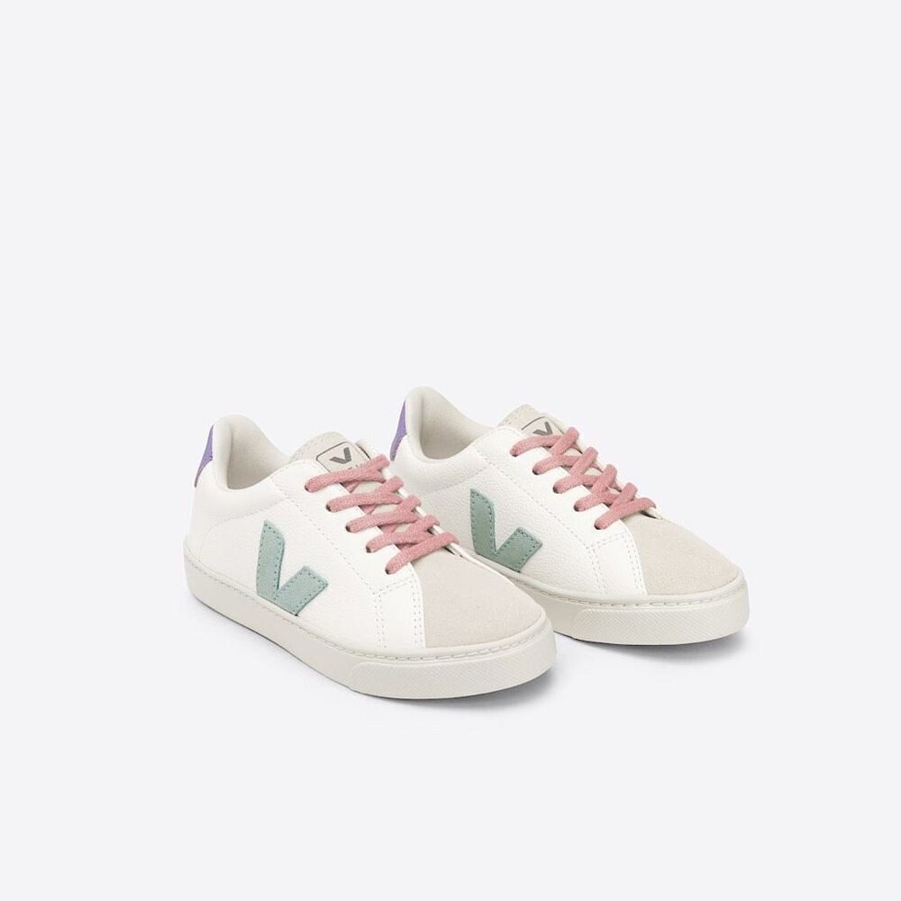 Veja Esplar women’s size 6 Leather Sneakers